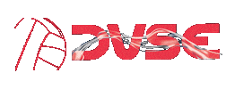 DVSE Vízilabda Sticker