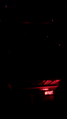 dantemuzquiz  GIF