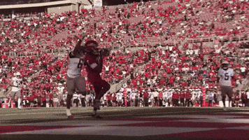 Fresno State Touchdown GIF