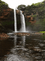 life waterfalls GIF