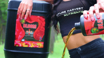 Bloom Nutrients GIF by Future Harvest