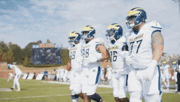 Football Unity GIF by Delaware Blue Hens