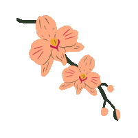 Flower Orchid Sticker by Pikku paperi