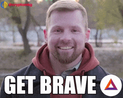 Brave Browser GIF by Crypto Memes ::: Crypto Marketing