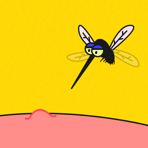Should you kill a mosquito?