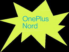 OnePlus_BNL GIF