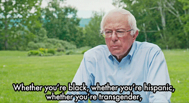 bernie