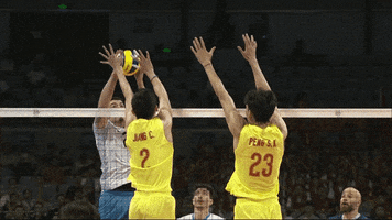 China Action GIF by Volleyball World