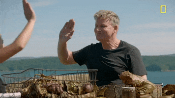 Gordon Ramsay GIF by National Geographic Channel