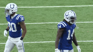 Zach Pascal First Down GIF by Indianapolis Colts