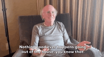 Larry David Stay At Home GIF