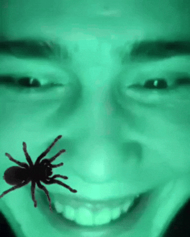 Jumpscarepetuh GIF