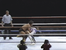 Wrestling GIF