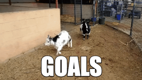 goat wow GIF by Best Friends Animal Society