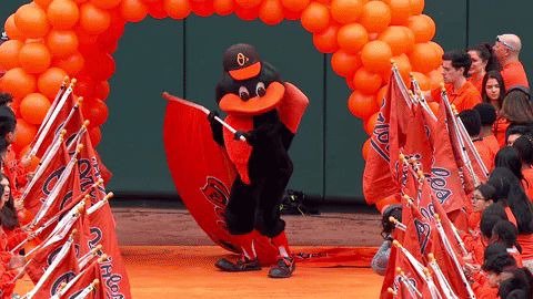 Mascot Orioles2019 GIF by Baltimore Orioles - Find & Share on GIPHY