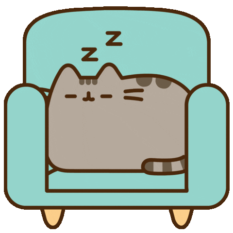 pusheen in bed