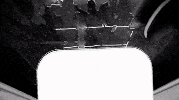 GIF by Paranoiia Productions