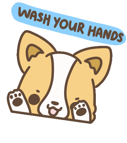 Stay Home Wash Hands Sticker by corgiyolk