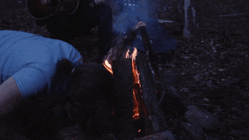 200.gif?cid=fc005b082f89c78de8488f9d7a1100a593bdea2d05f7b960&rid=200.gif&ct=g