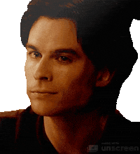 Damon Salvatore Gifs Get The Best Gif On Giphy