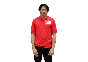 Motorsport Racer Sticker by HWA AG