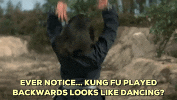 martial arts dancing GIF by Shaw Brothers
