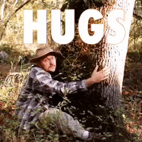 Tree Hug GIF by Four Rest Films