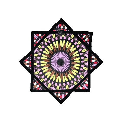 Flow Toys Sticker by spinflowstar