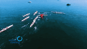 Sport Water GIF by worldrowing