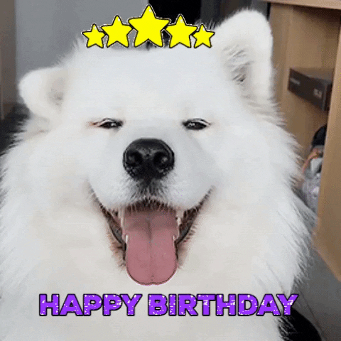 Dog GIF