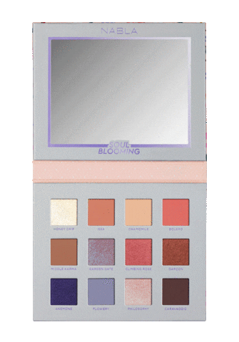 Makeup Eyepalette Sticker by NABLA Cosmetics