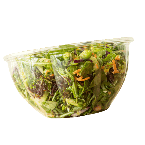 Food Salad Sticker by Greenstock