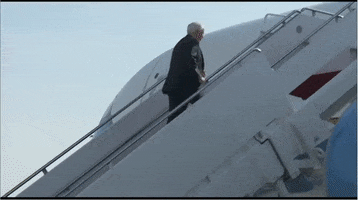 Pence GIF