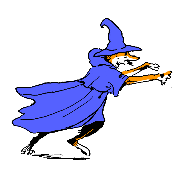 Mystery Wizard Sticker by Merely