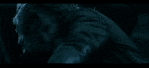 Fight GIF