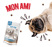 Mon Ami Mascotas Sticker