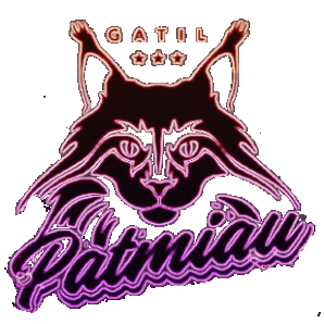 Gatos Sticker by GatilPatmiau