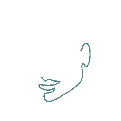 Face Sticker