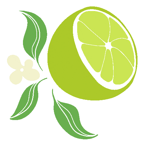 Illustration Sticker