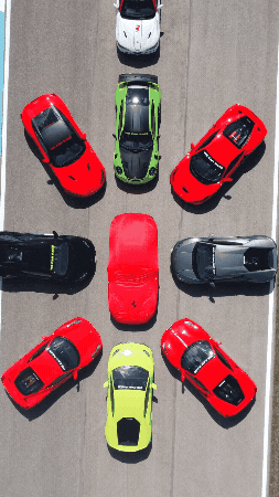 We Can Race GIF
