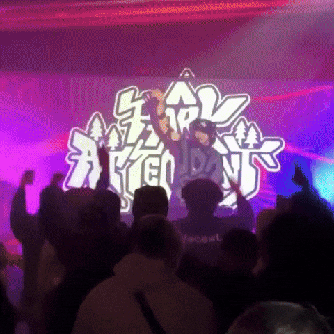 Lets Go Edm GIF