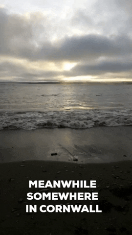 Stargazy Solutions GIF