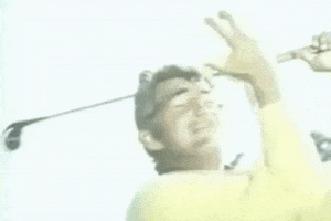 Rejected Epic Fail GIF by Dean Martin