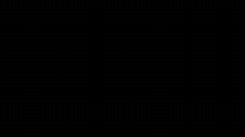 Dynamic GIF