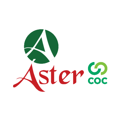 Colégio Áster Sticker