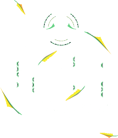 Wishfestival Wishnl Sticker by WiSH Outdoor