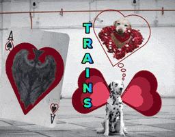 Elon GIF