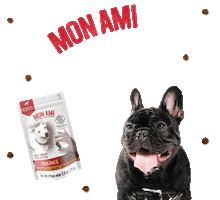 Mon Ami Mascotas Sticker