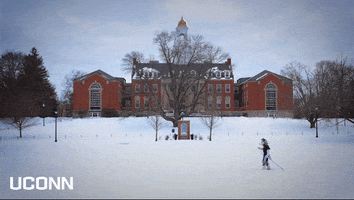 Cross Country Skiing Snow GIF by UConn