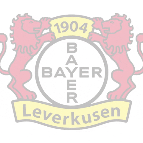 Bayer 04 Soccer GIF by Bayer 04 Leverkusen